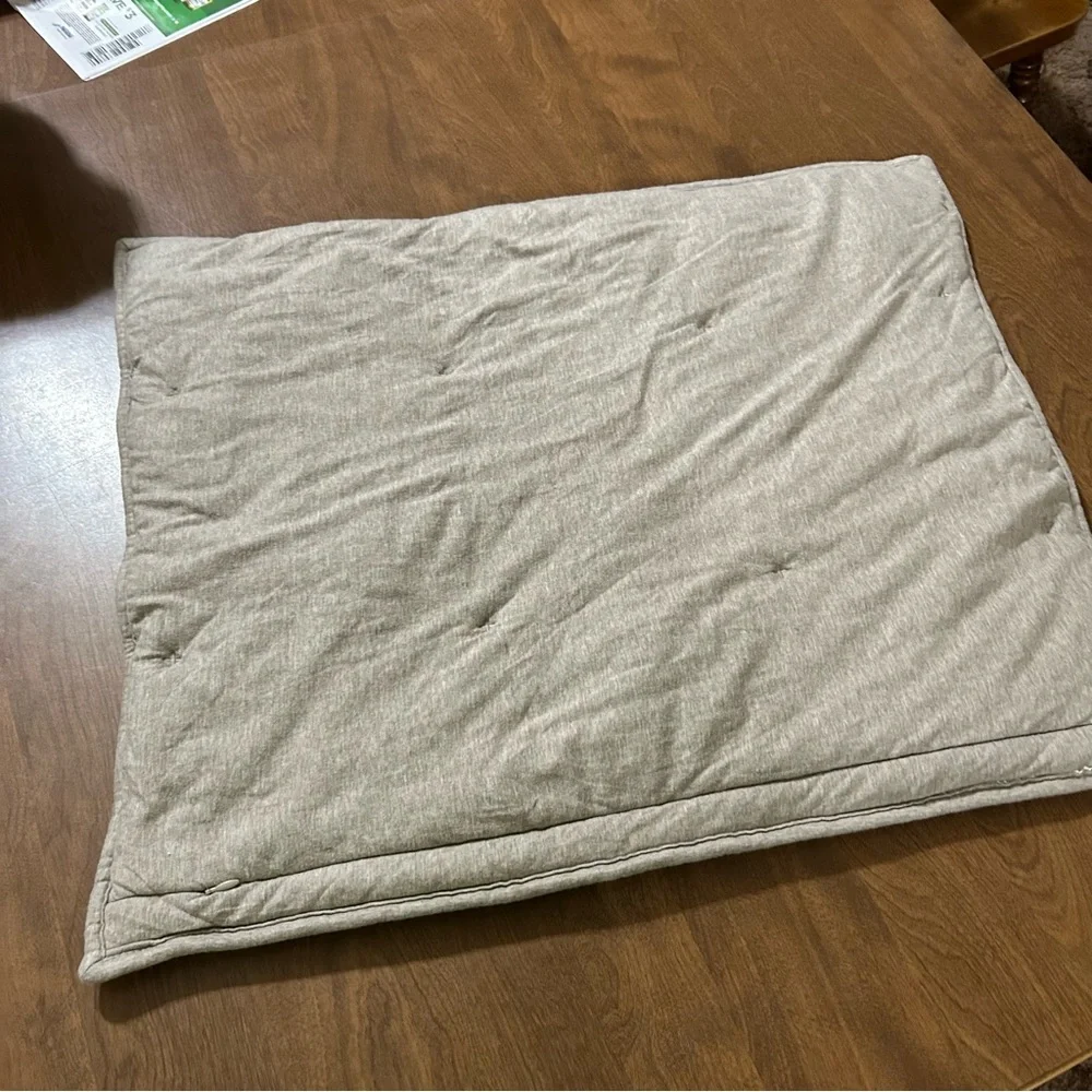 West Elm pillow cover